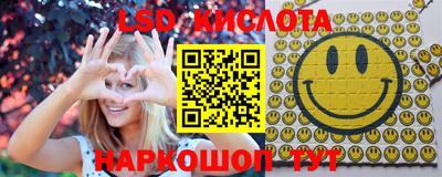 прущие грибы Ковров