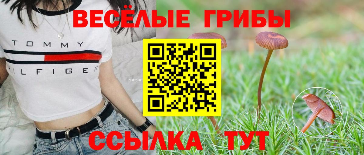 Псилоцибиновые грибы мухоморы  Урай  Галлюциногенные грибы ЛСД 